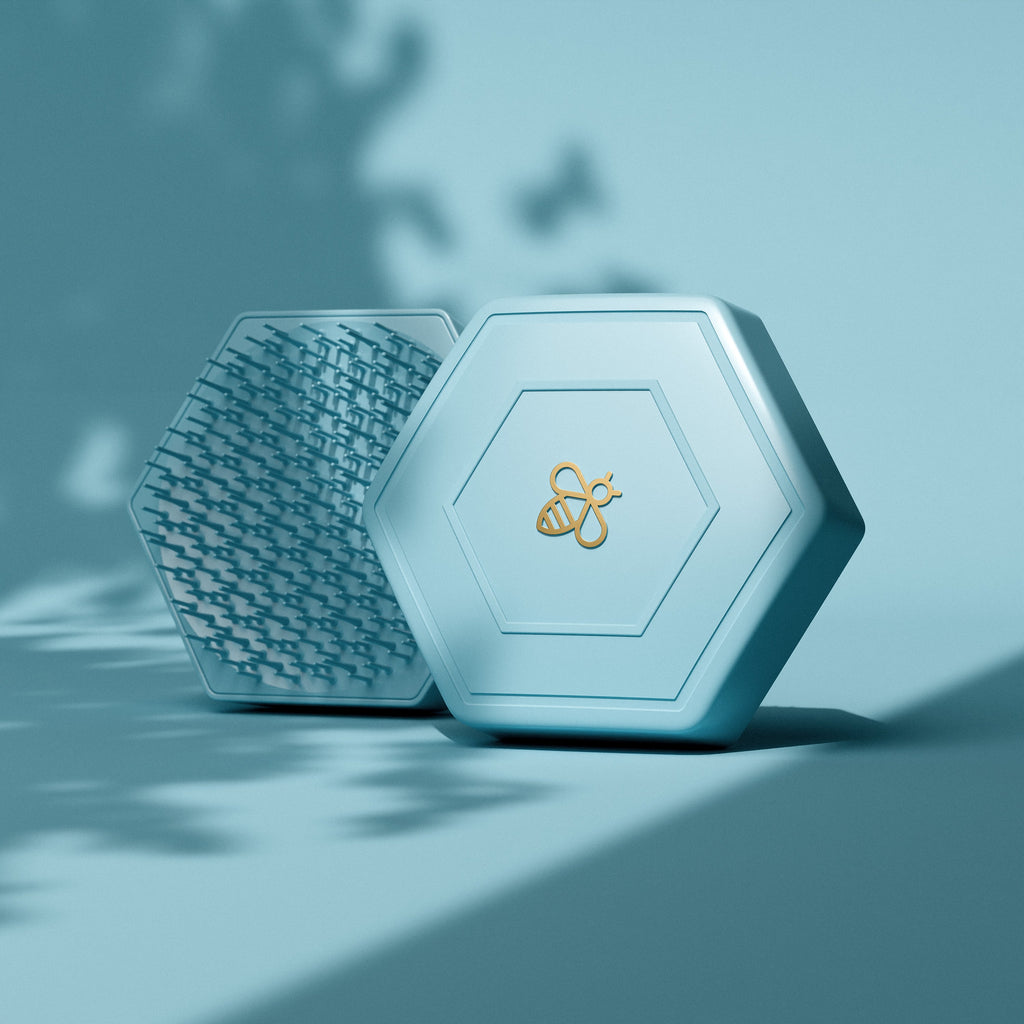 HONEYBRUSH Scalp Brush