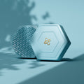 HONEYBRUSH Scalp Brush